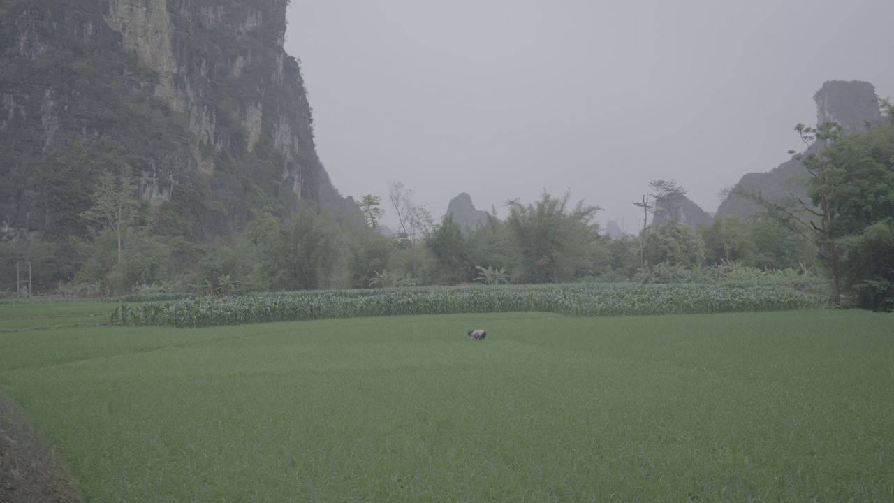 农村 7