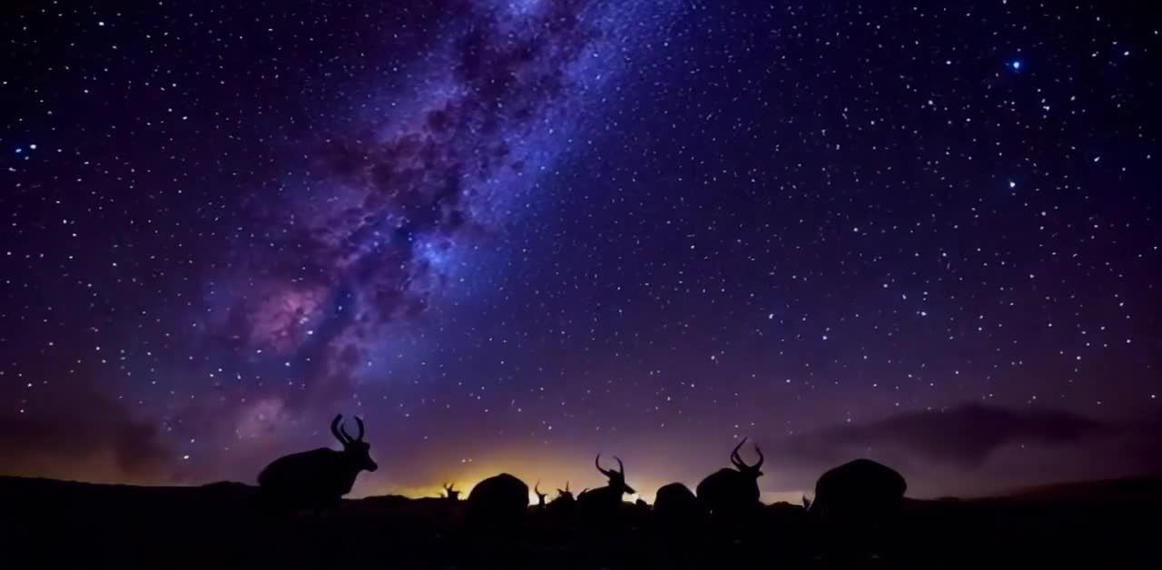 星空下剪影：藏羚羊群与壮丽银河