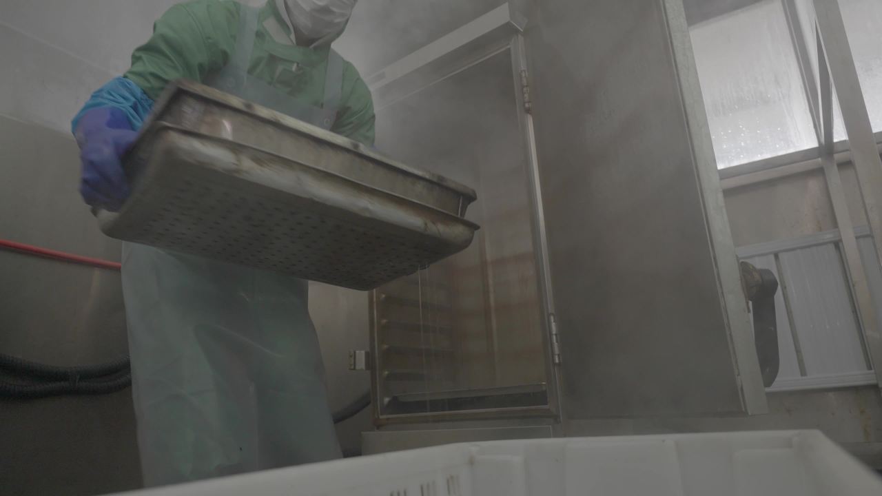 海参加工流水线作业