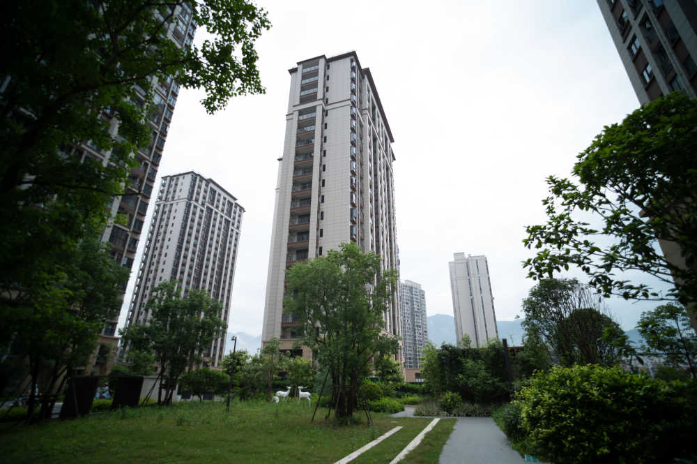 小区绿化