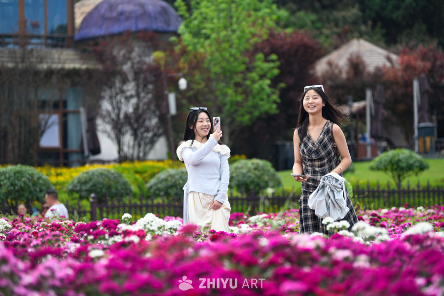 花海 8
