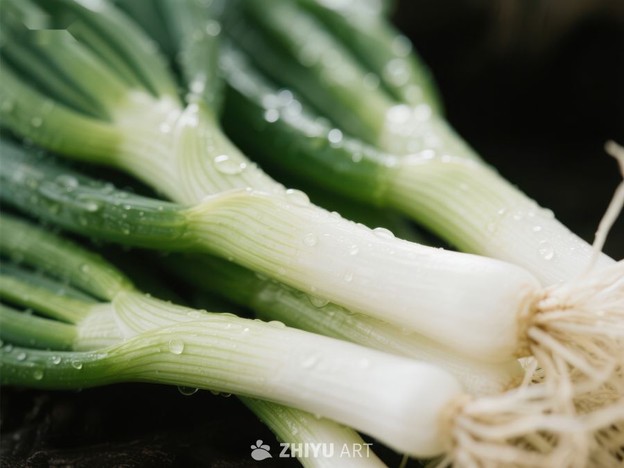 新鲜葱段特写 396