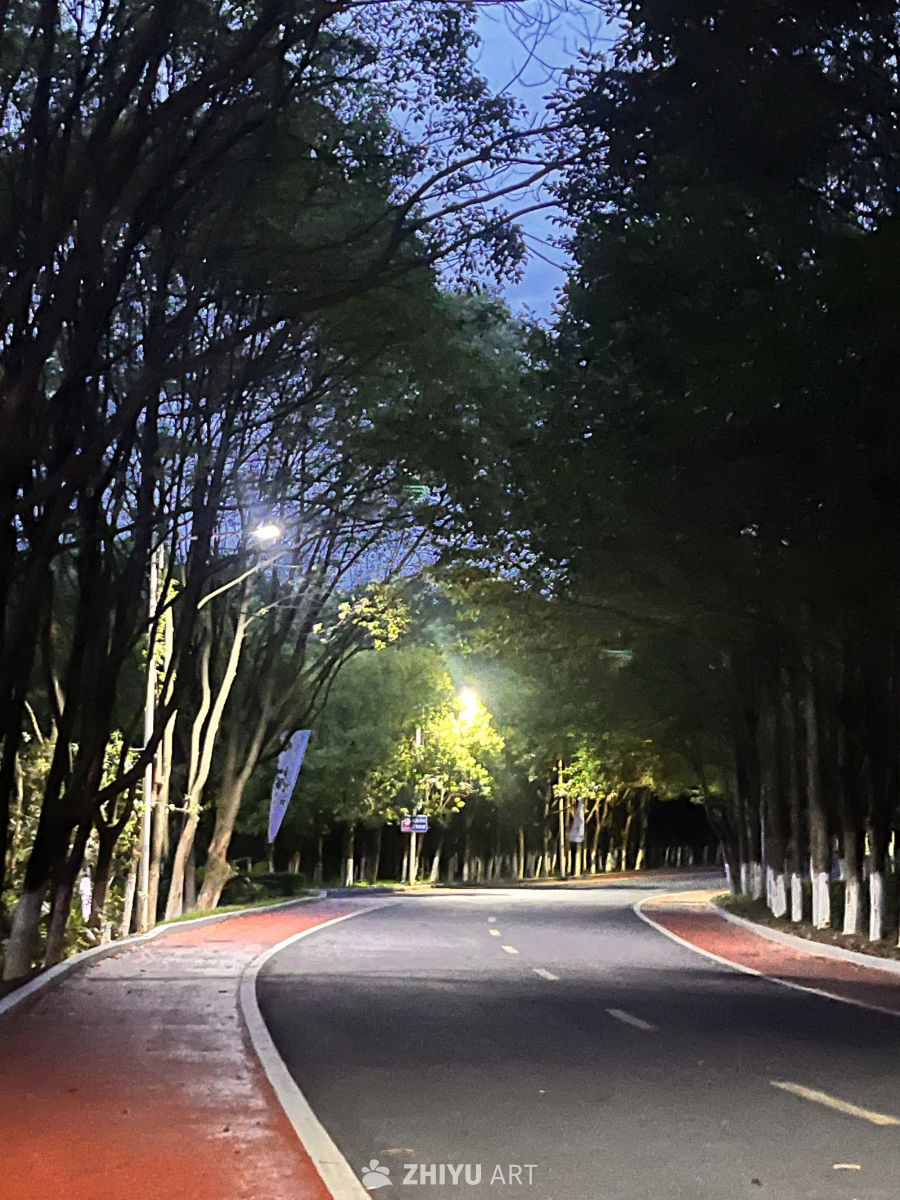 夜幕下的森林之路