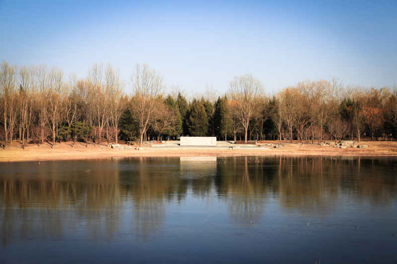 凉冬 5