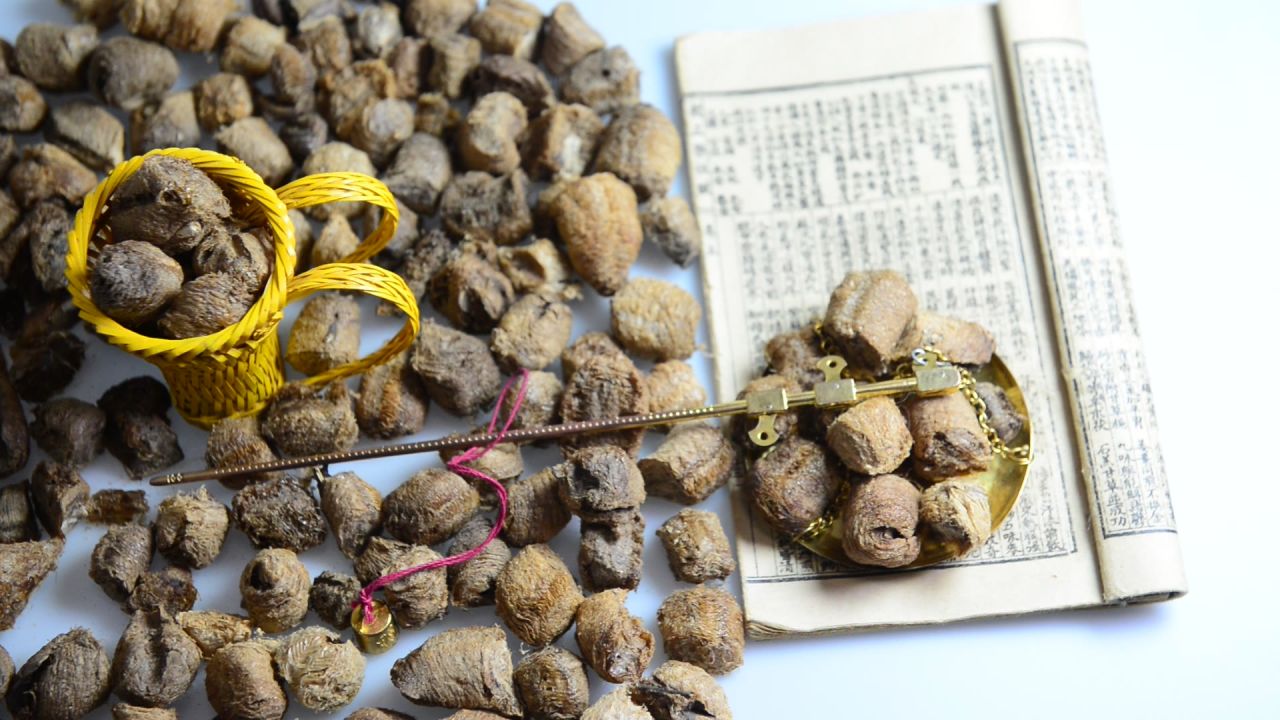 中药材桑螵蛸 32