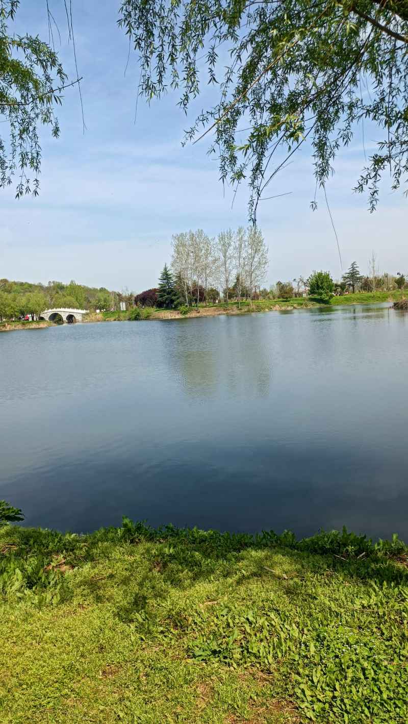 湖边小景
