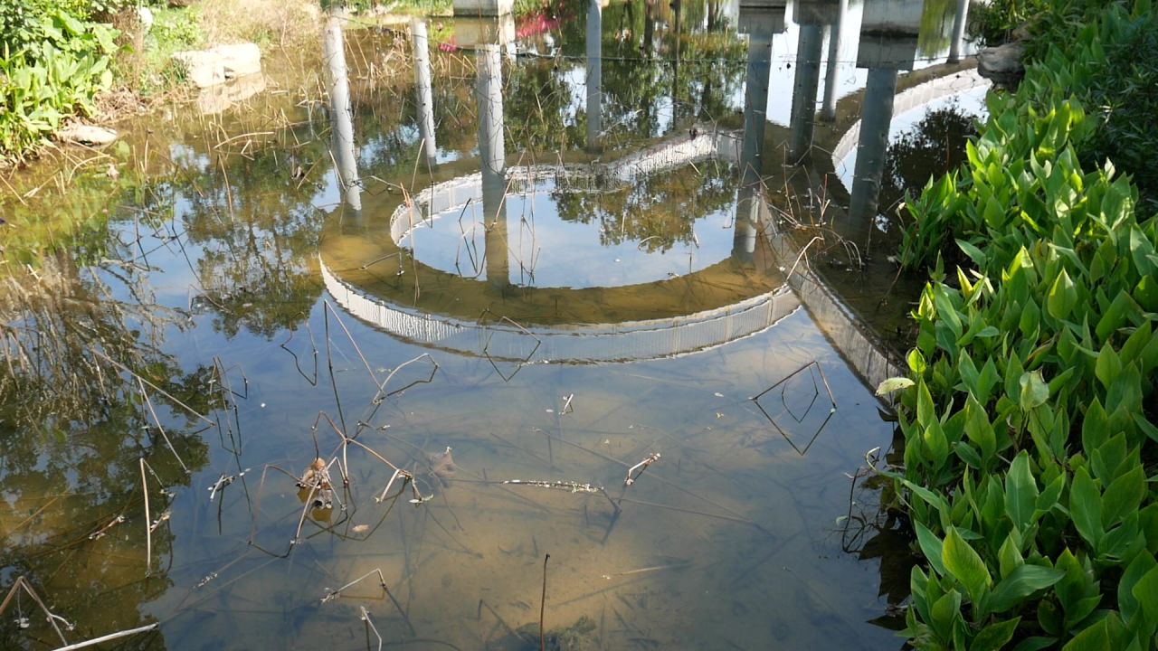 公园空中步行道和倒影