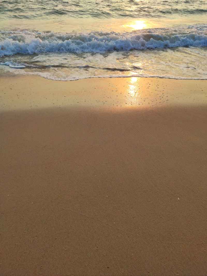 金色海滩 2