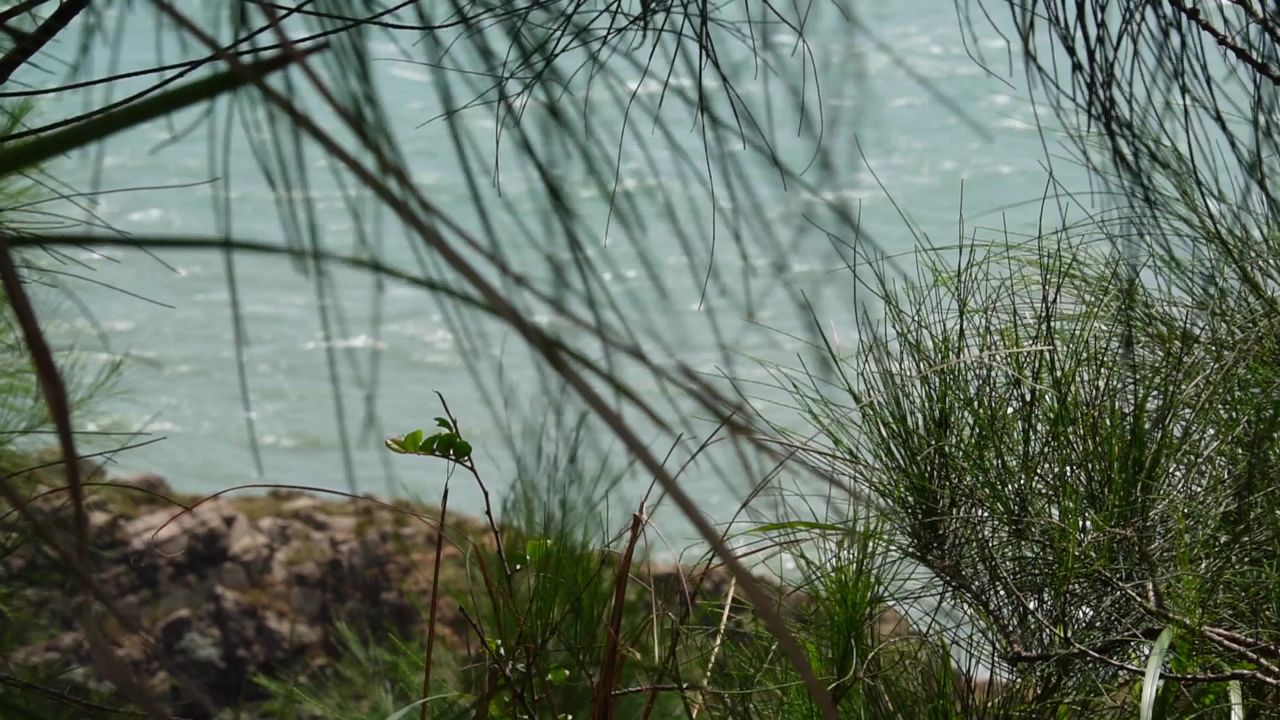 海风吹