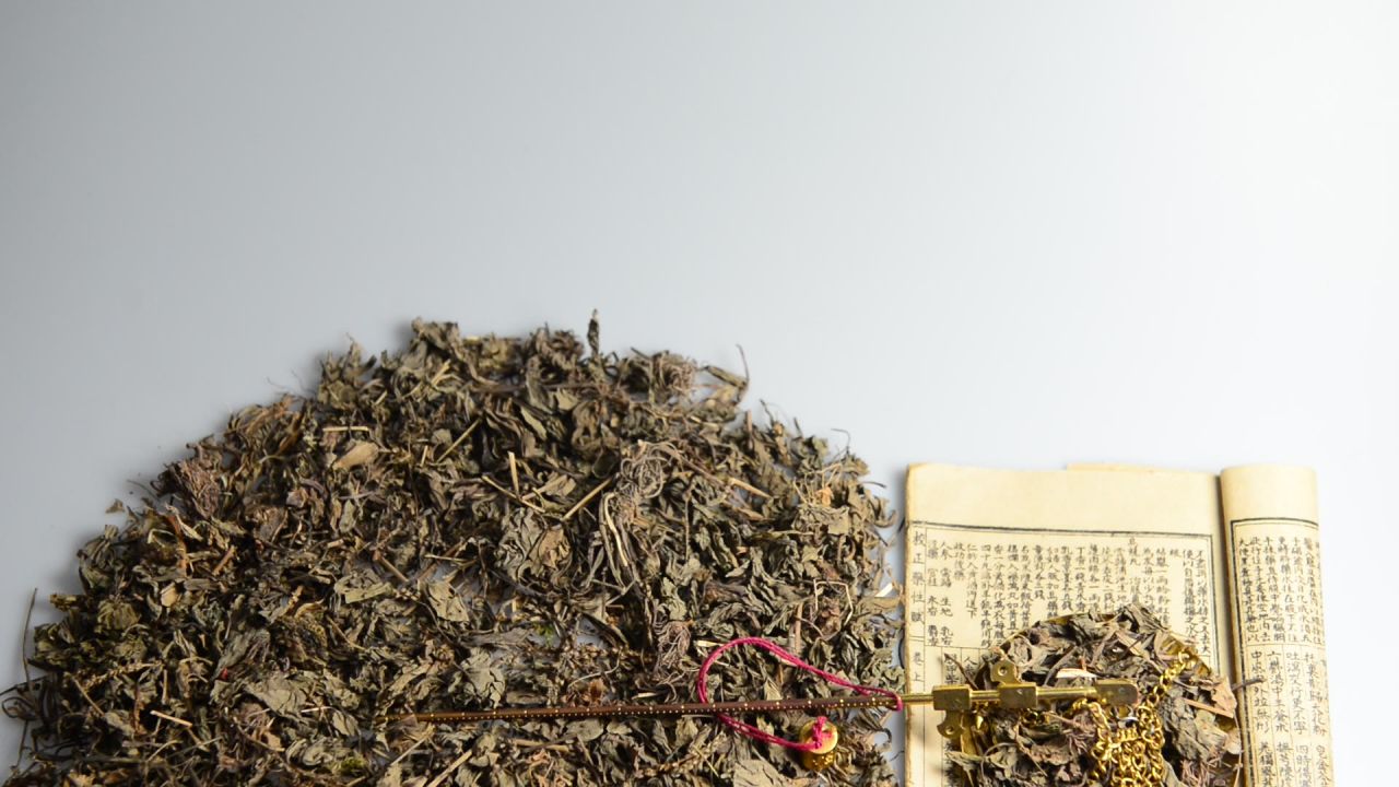中药材车前草 30