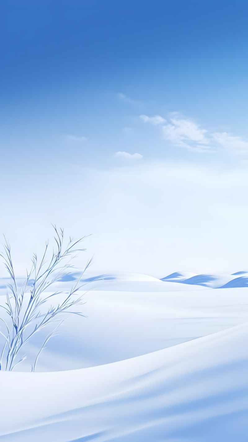 冬季冬天雪景唯美背景 22