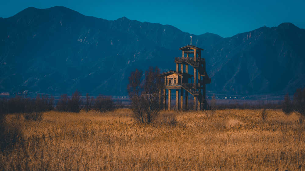 延庆野鸭湖