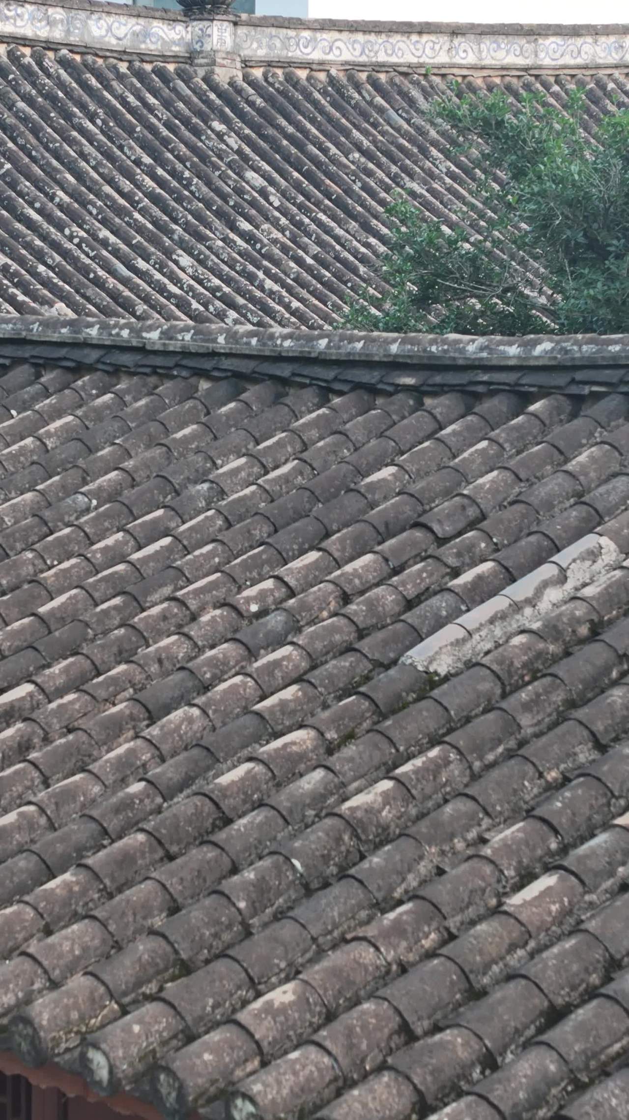 古屋瓦顶的静谧之美
