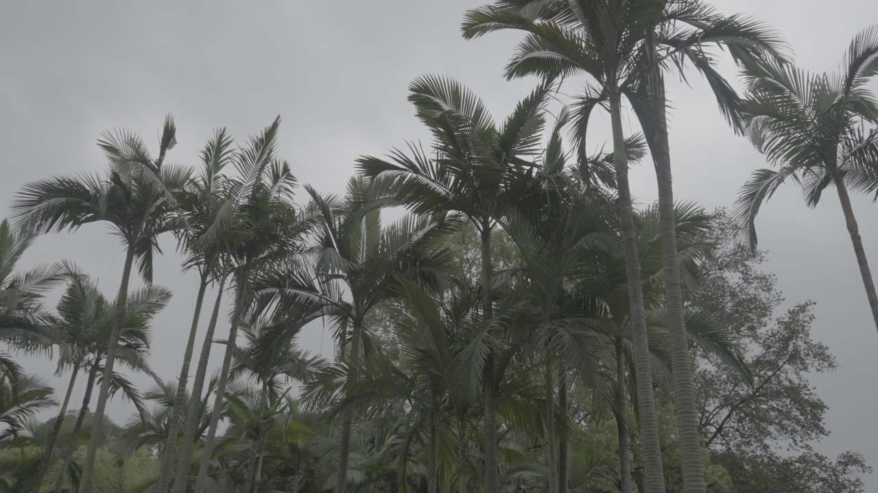 龙潭公园 11