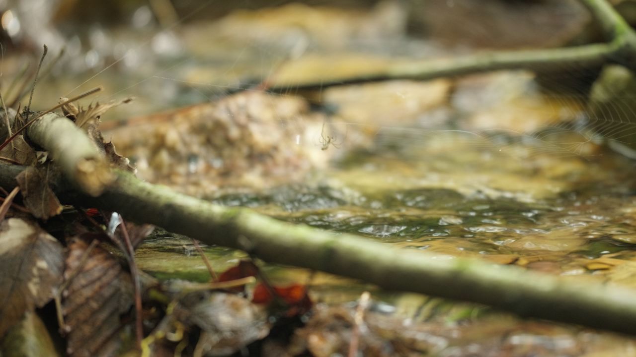 清澈山泉水温泉矿泉水小溪山涧 35