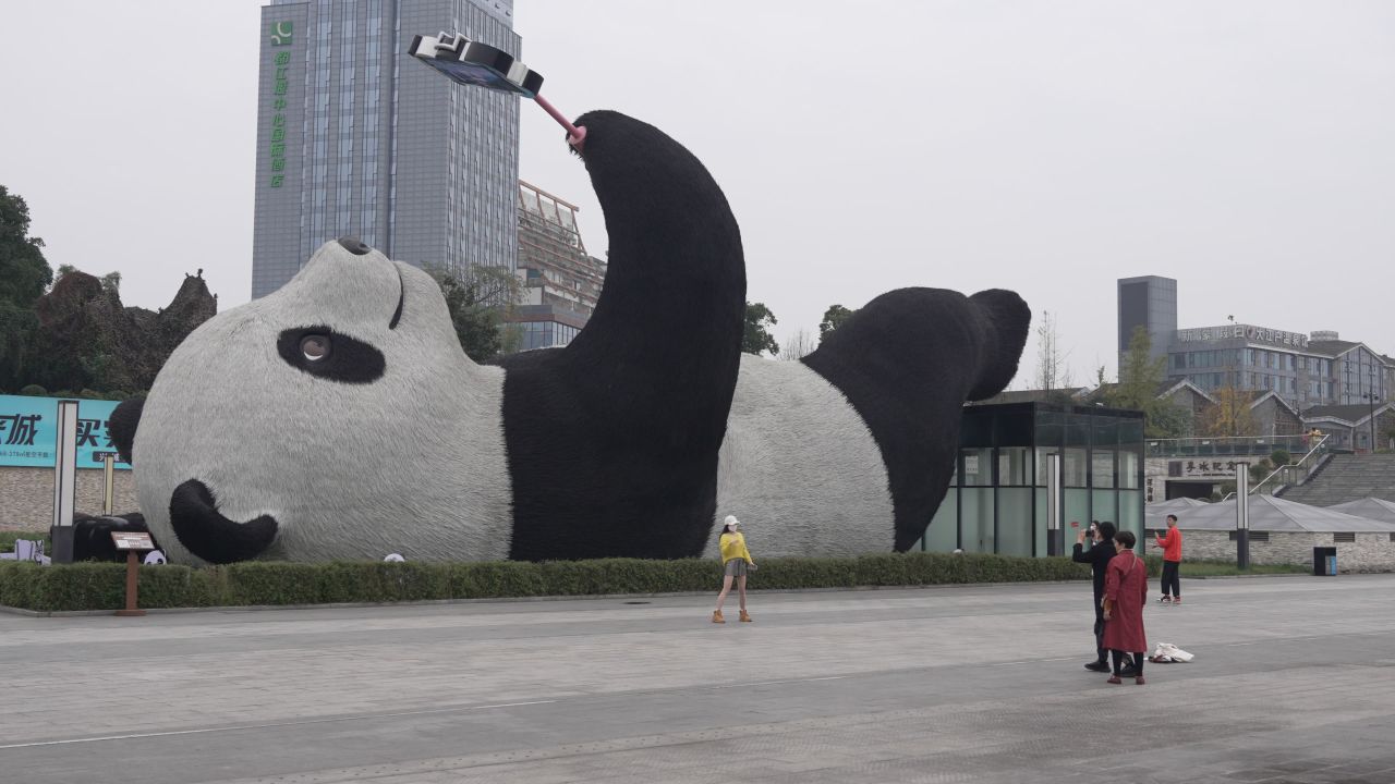 仰天窝广场-自拍熊猫