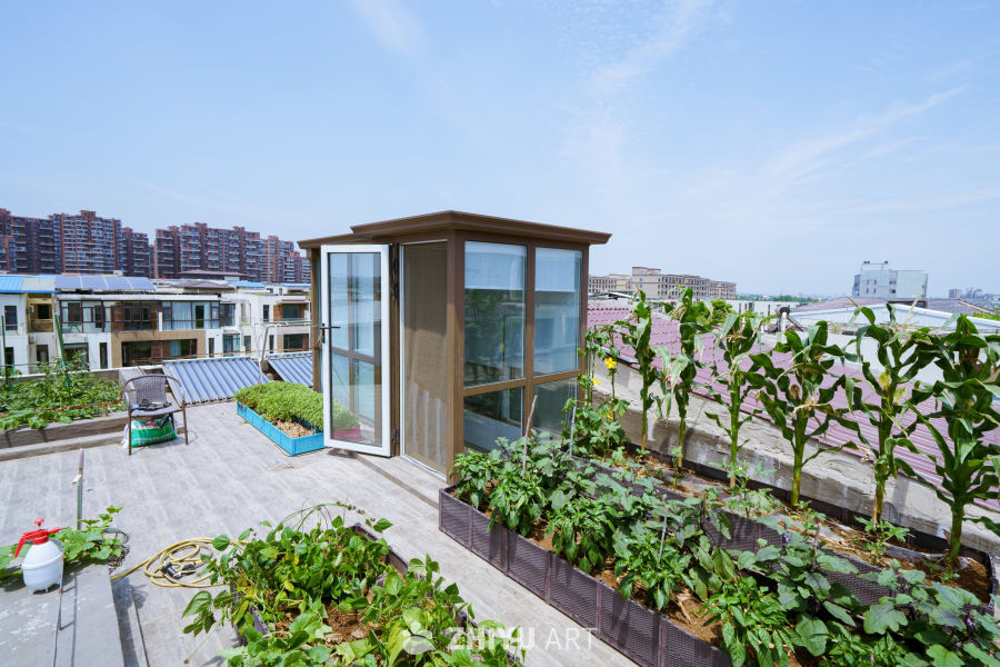 屋顶上的绿色小天地