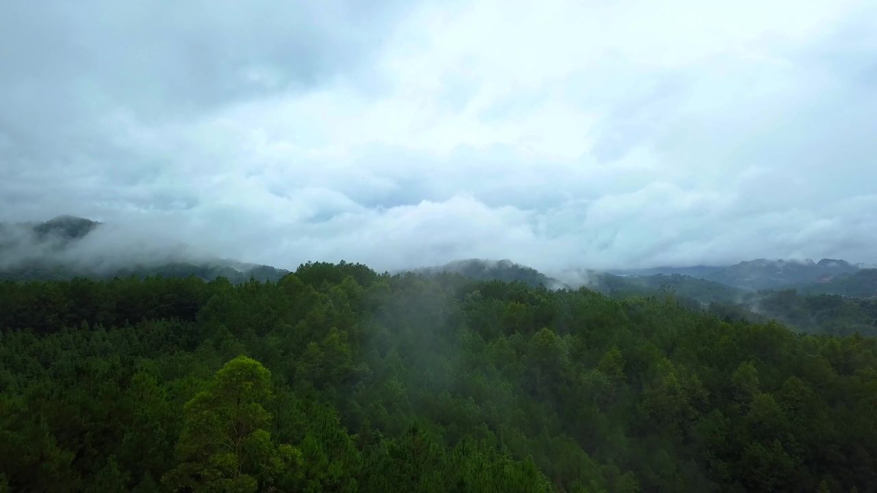 云海山间