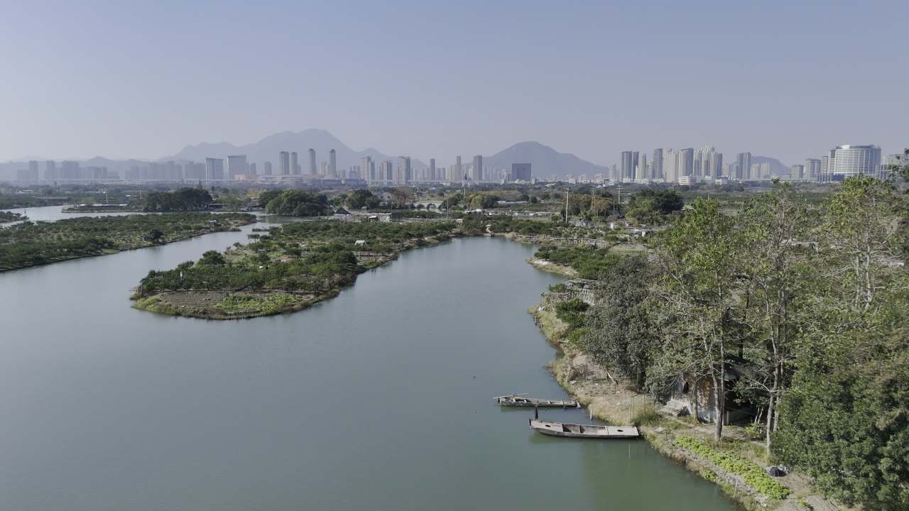 湿地红杉 19