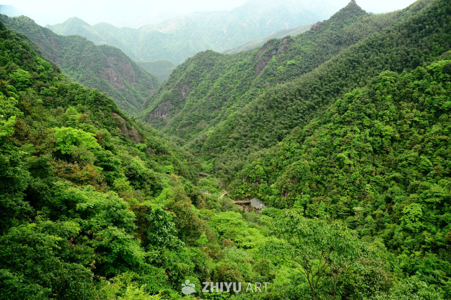 衢州药王山的猴群和山野瀑布 21