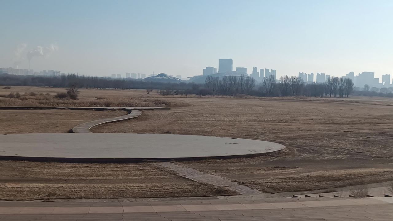 冬天枯萎的公园 3