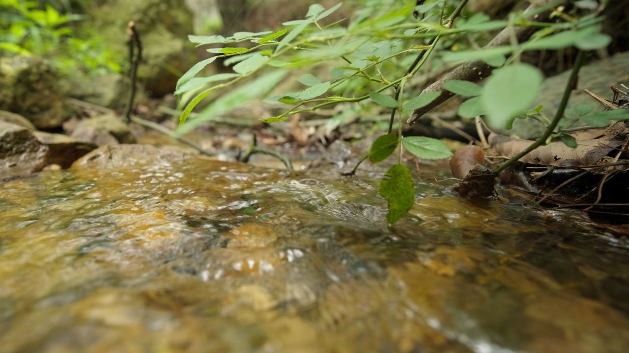 清澈山泉水温泉矿泉水小溪山涧 5