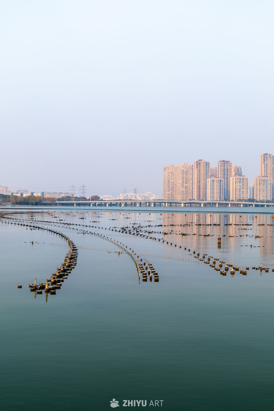 清晨水面的城市剪影
