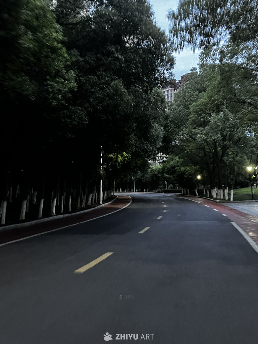 夜幕下的林荫道