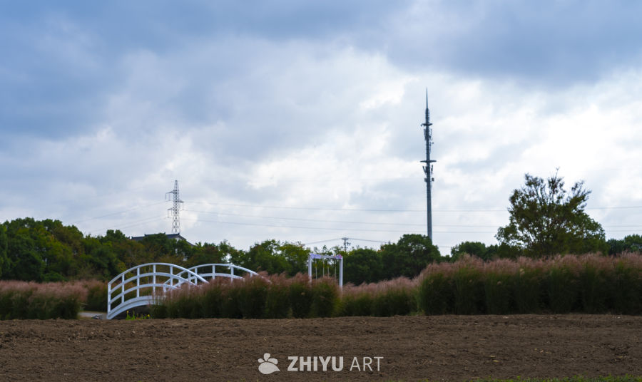 田野中的拱桥与通信塔