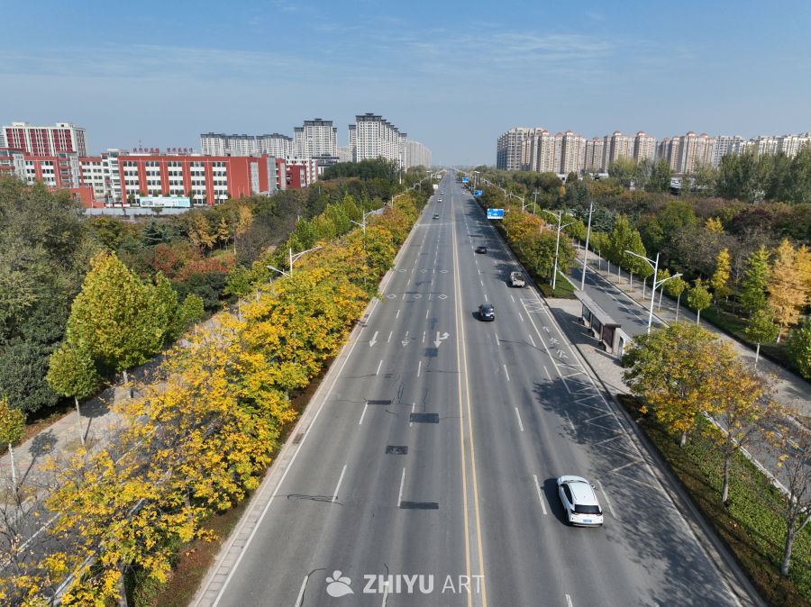 城市秋日街道