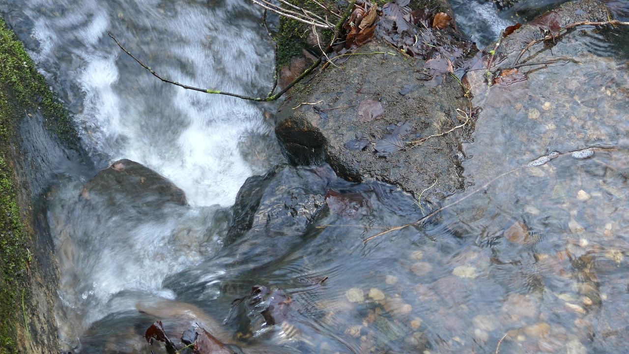 溪布鲁克水自然