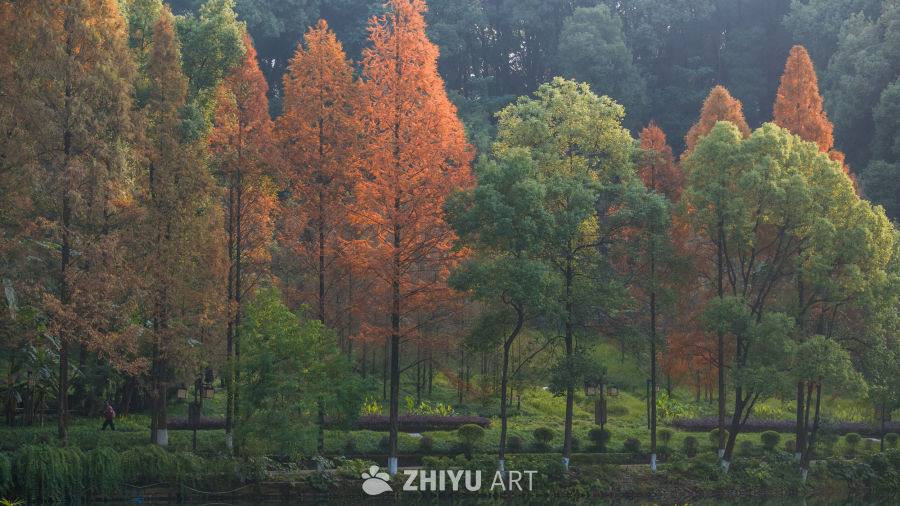 秋日公园红绿相映