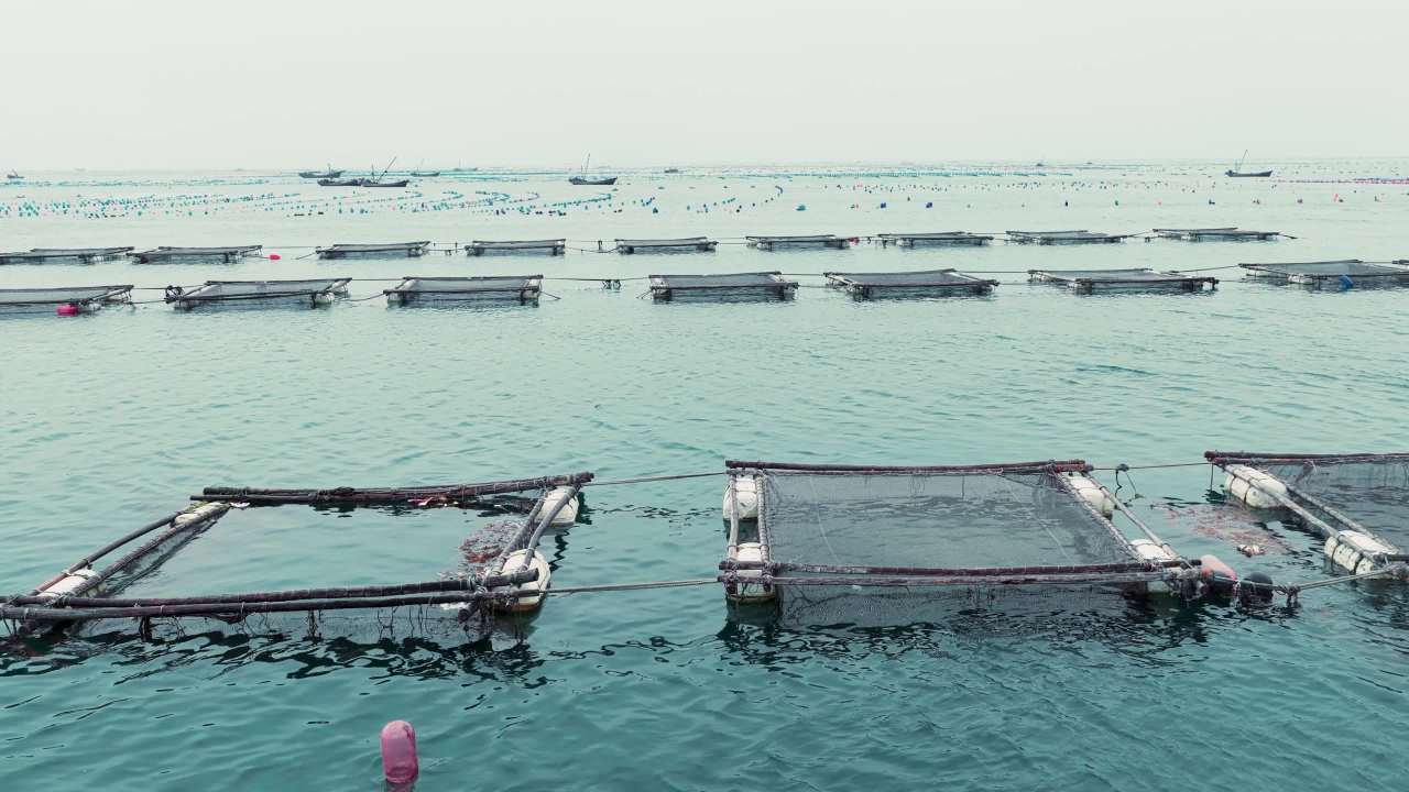 航拍长海岛港口码头