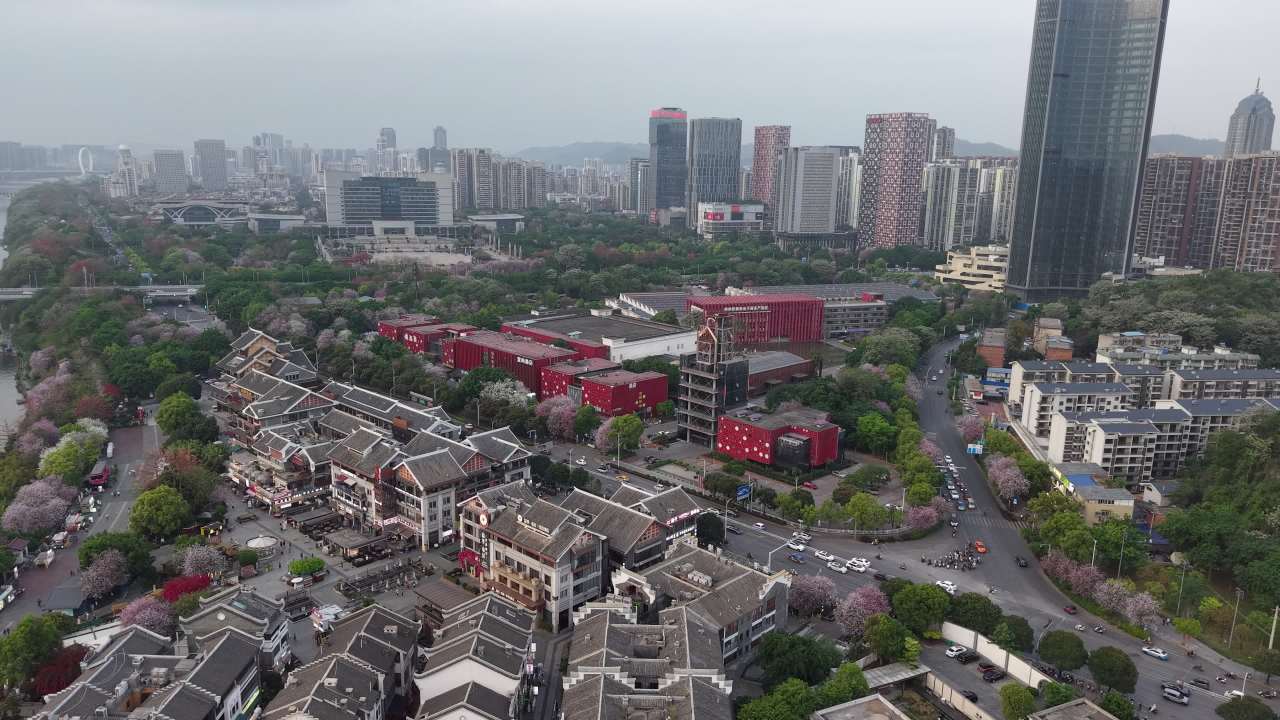 柳州 11