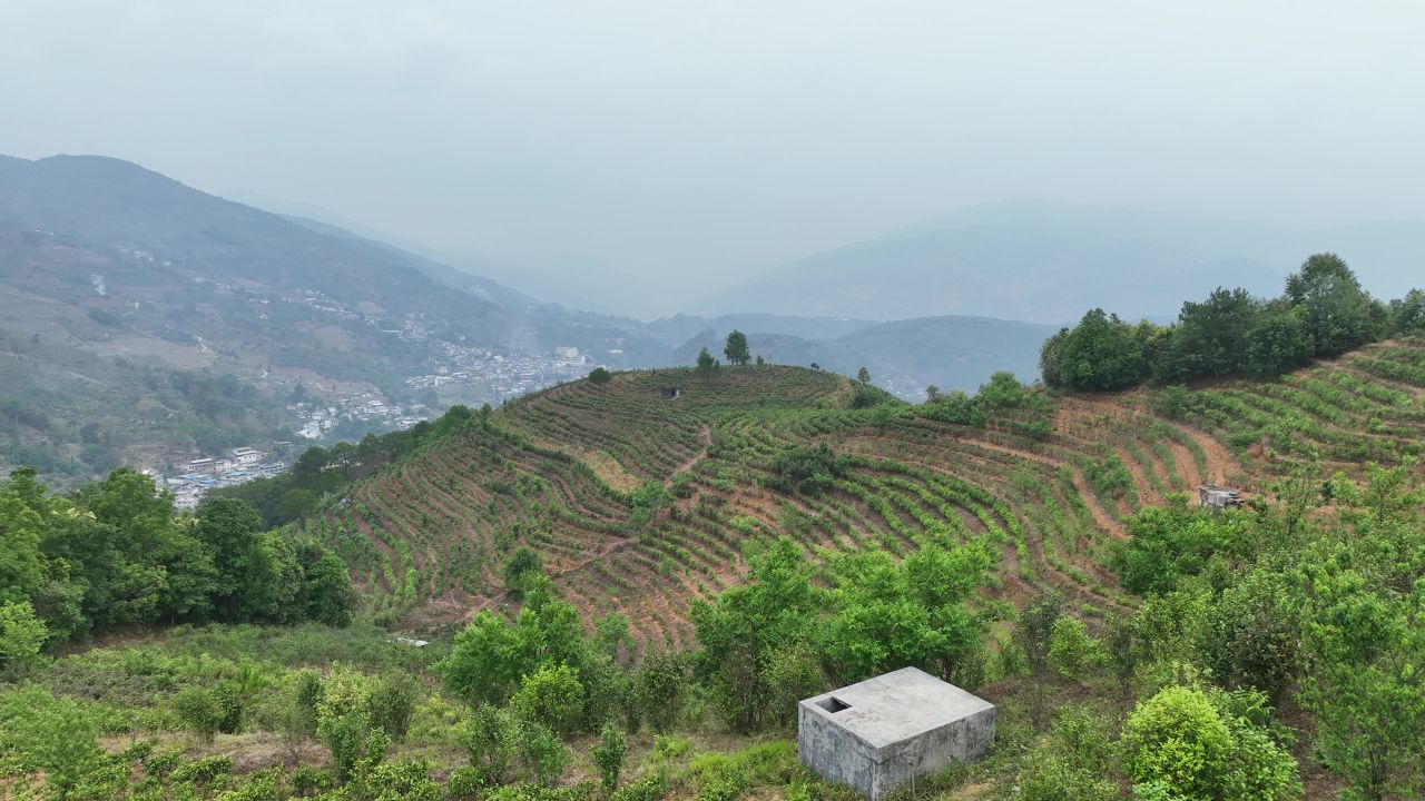 产业振兴