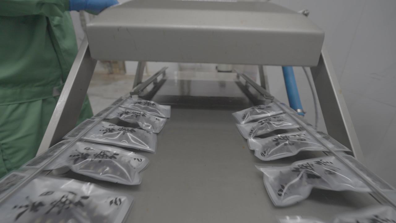 加工的真空海参包装过程