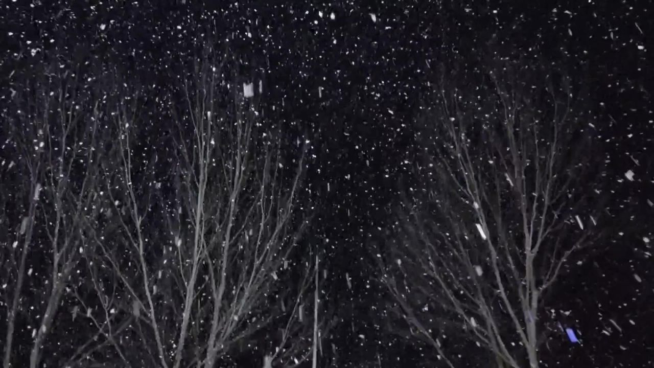 下了通宵的雪
