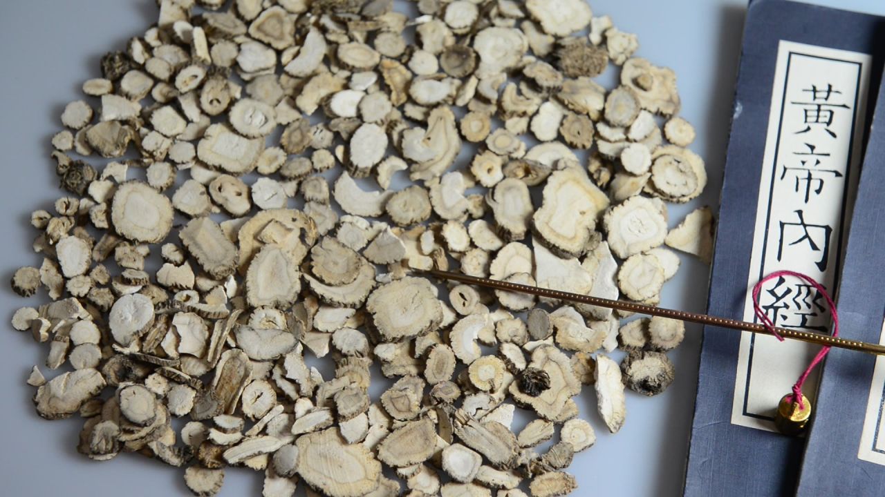 中药材白芷 22
