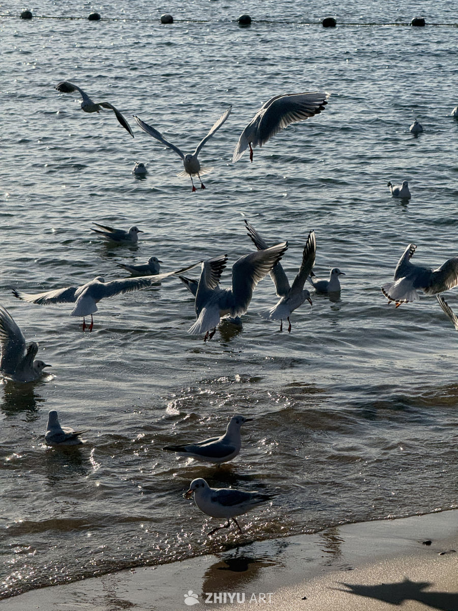 海 5