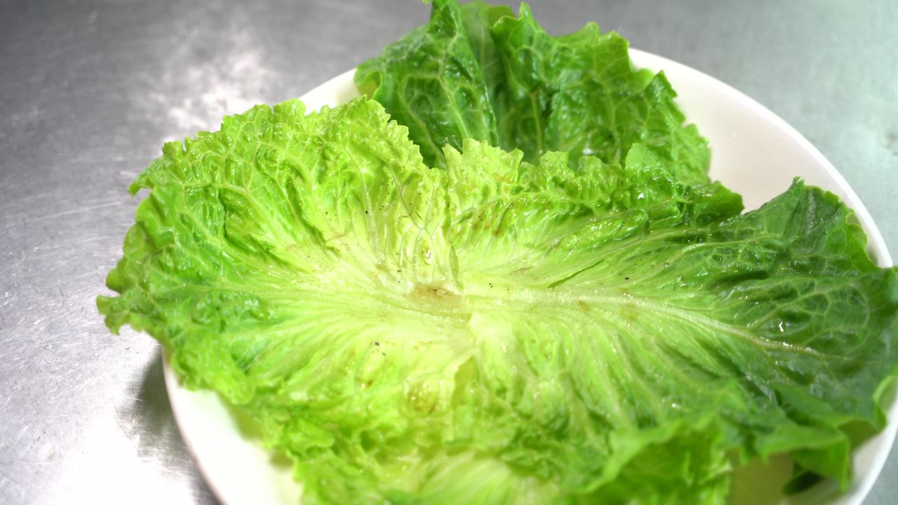 美食 40