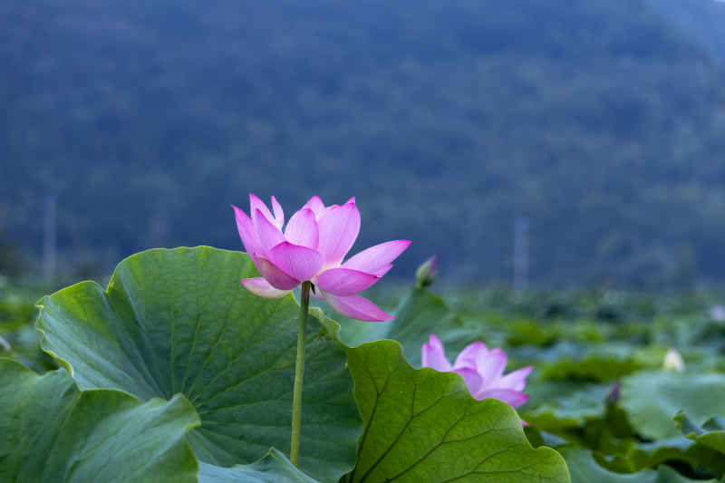 IMG_0409 拷贝