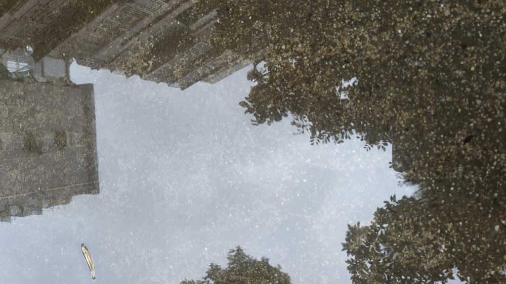 积水中的倒影