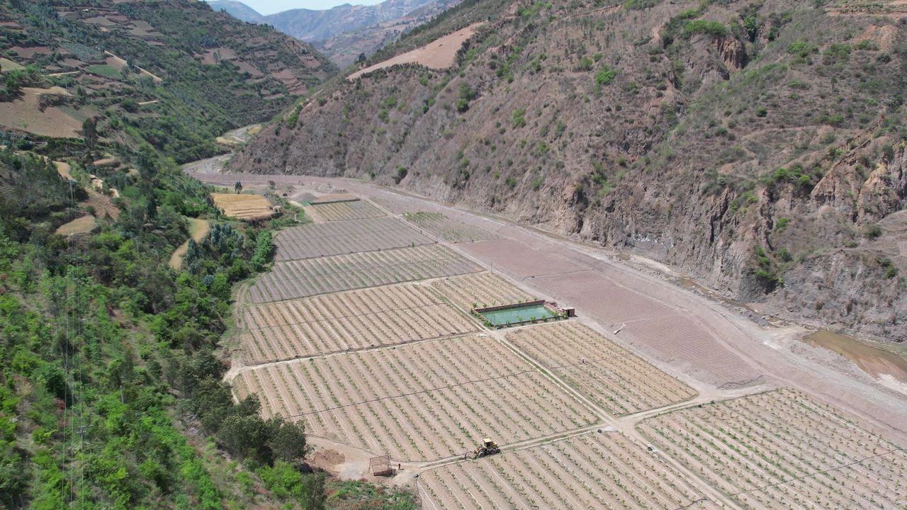 河谷柑橘种植基地
