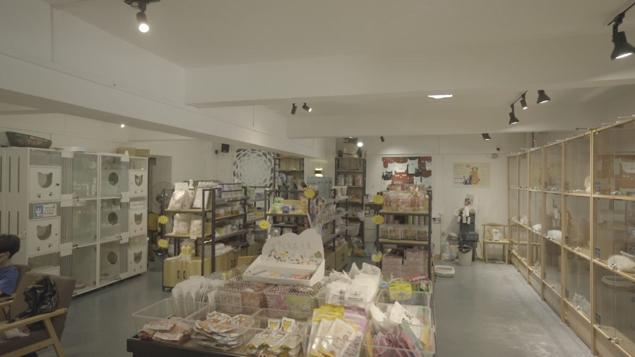 宠物店内部装修