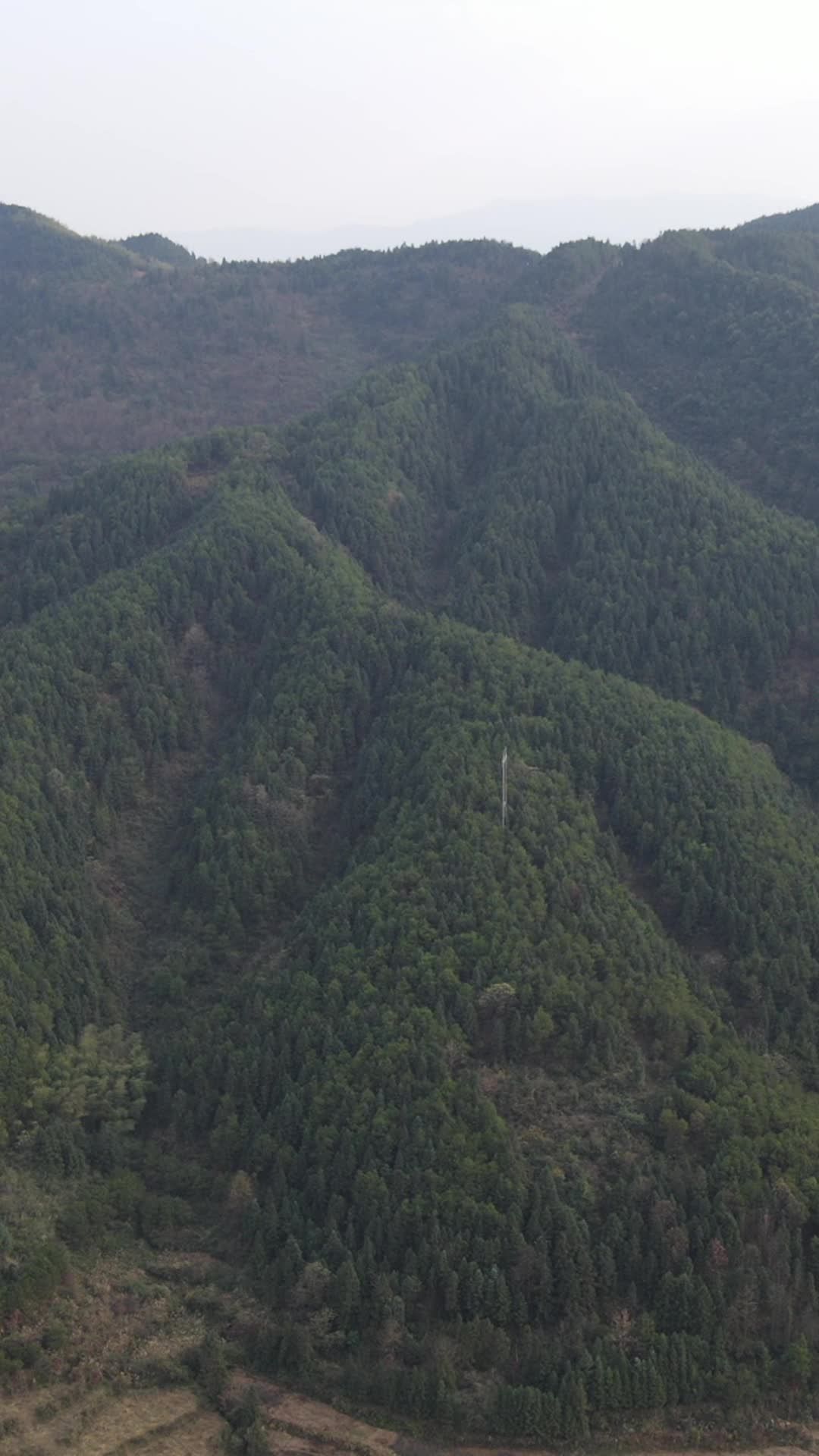山间绿意盎然