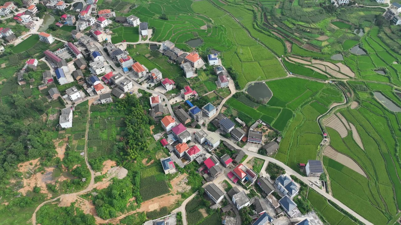 农村 31