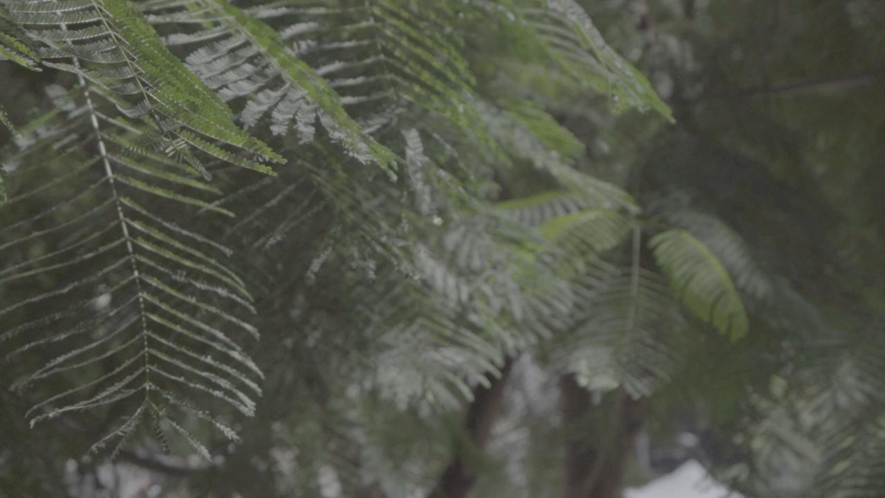 学校环境的空镜 34