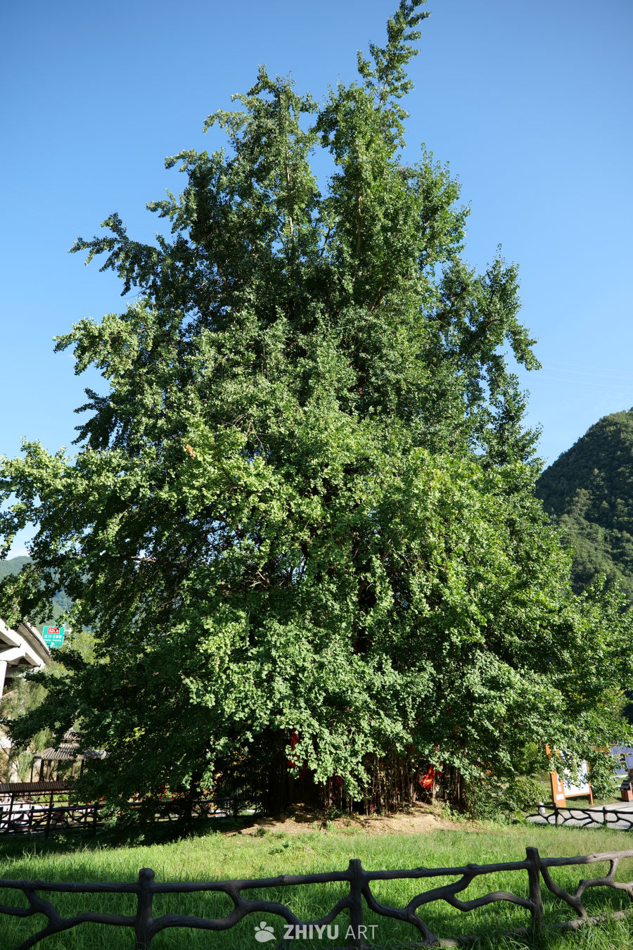 景区景色 193
