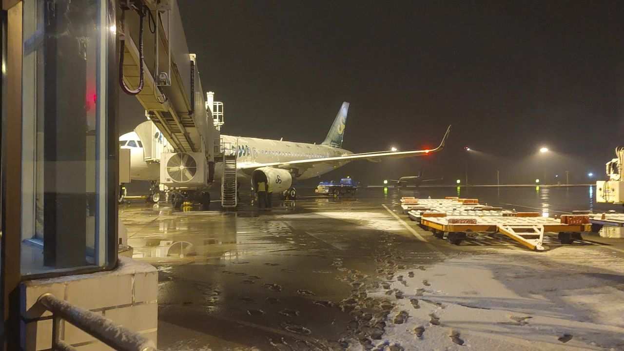 下雪的桃仙机场