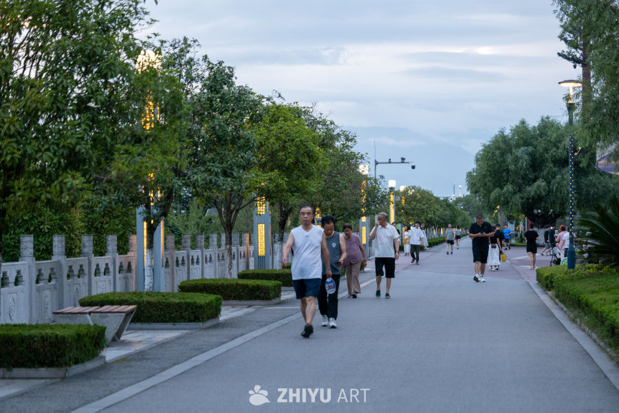 夕阳下的大桥 24